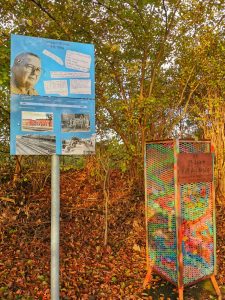 WhatsApp Image 2019-11-09 at 10.02.56(4)